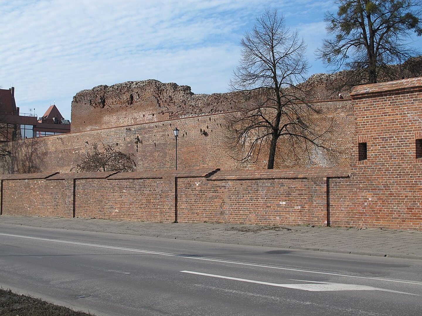 Mury obronne Torunia